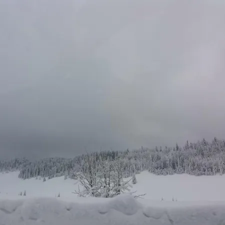 Pensiunea Simiriam Apuseni, *